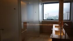 Hana (D10), Condominium #482796701